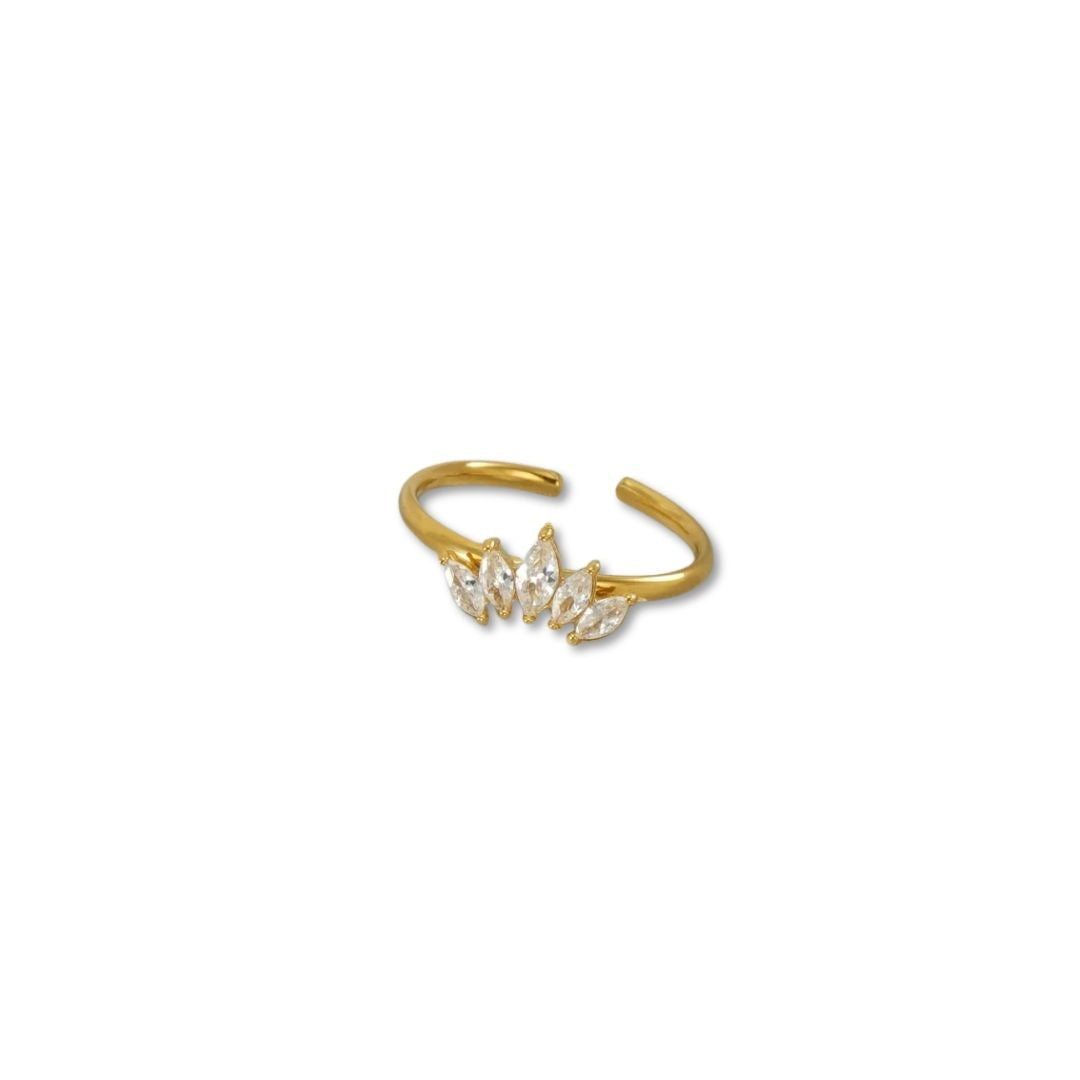 ANILLO - CASILDA