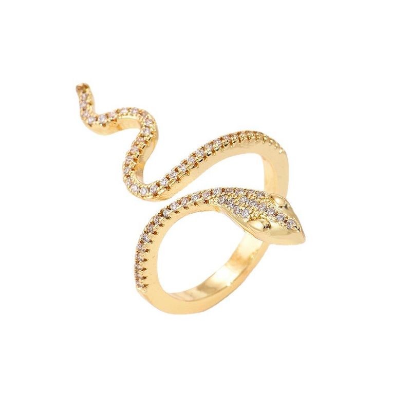 ANILLO-0031