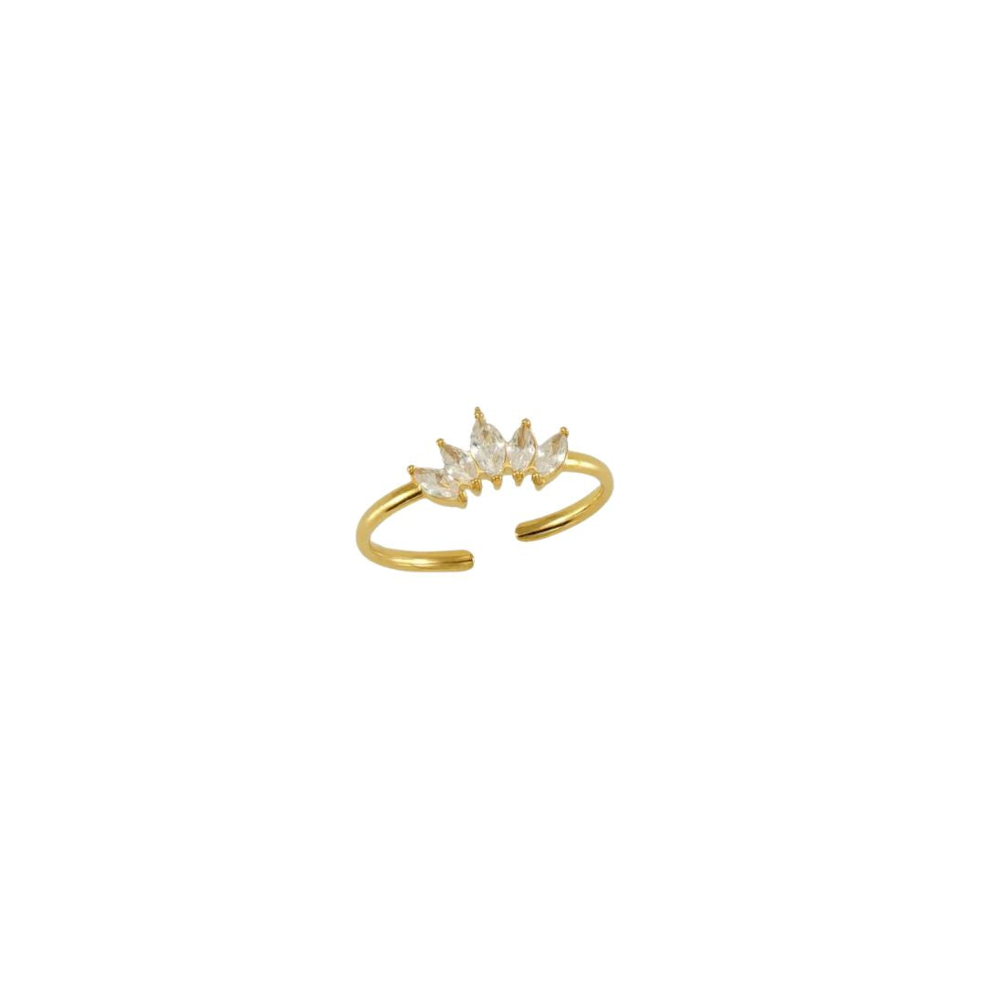 ANILLO-42685